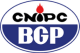 Client Logos - BGP